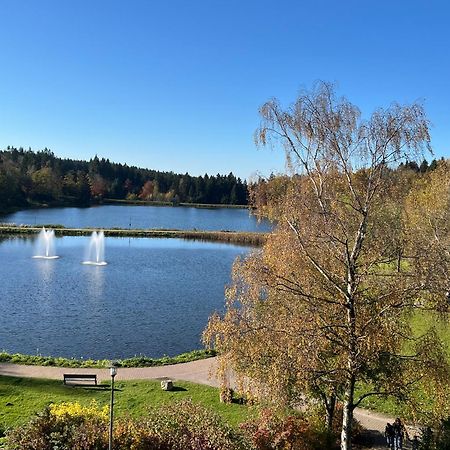 Appartement Ausblick Гослар Екстер'єр фото